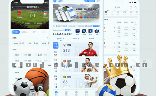 数据档案：探寻数字记忆